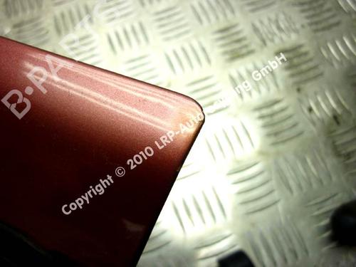 Left front door NISSAN PRIMERA (P11) 1.6 16V | BP20581947C2 