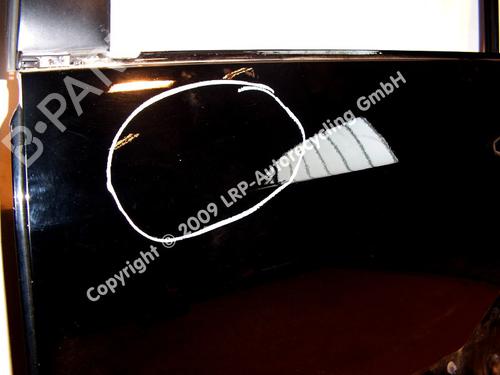 Left rear door TOYOTA LAND CRUISER PRADO (_J12_) 3.0 D-4D (KDJ120, KDJ125, KDJ121) | BP20577482C4