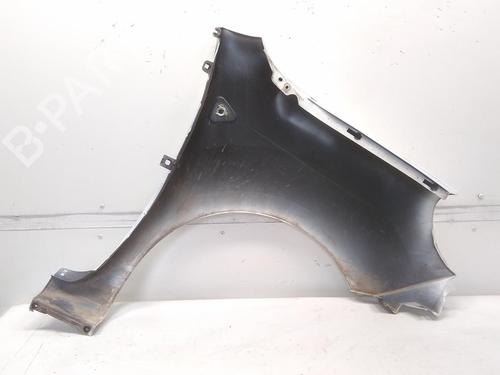 Left front fenders RENAULT KANGOO Express (FW0/1_) 1.5 dCi 70 (FW0A, KW0V) | BP20525454C41 