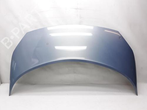 Used Hood RENAULT SCÉNIC II (JM0/1_) 1.9 dCi (JM0G, JM12, JM1G, JM2C) (120 hp) 20562908