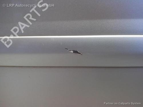 Dør venstre foran OPEL SIGNUM Hatchback (Z03) 1.9 CDTI (F48) | BP20581932C2 