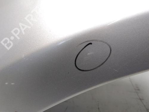 Left front fenders MERCEDES-BENZ A-CLASS (W169) A 150 (169.031, 169.331) | BP20595409C41 