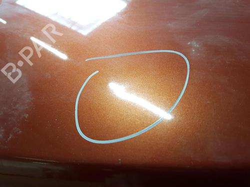 Tailgate RENAULT SCÉNIC II (JM0/1_) 1.9 dCi (JM0G, JM12, JM1G, JM2C) | BP20550573C6 