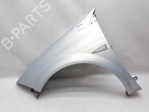 Used Left front fenders RENAULT MEGANE II (BM0/1_, CM0/1_) 1.6 16V (BM0C, CM0C) (113 hp) 20557751