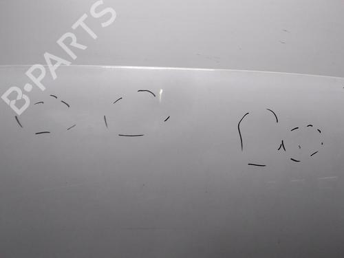 Hood FIAT DOBLO Box Body/MPV (223_) 1.3 D Multijet | BP20522766C1 