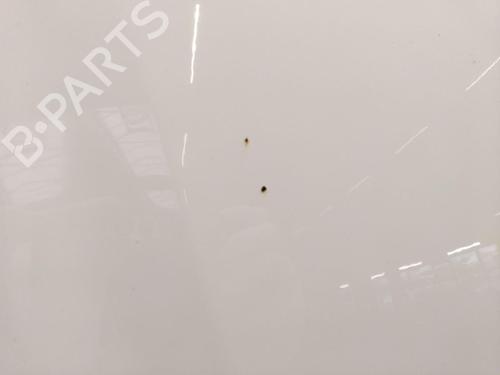 Hood AUDI A3 Sportback (8PA) 1.2 TSI | BP31345463C1 