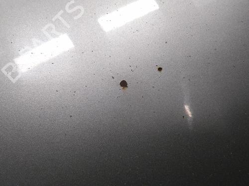 Hood FORD GALAXY I (WGR) 1.9 TDI | BP20522800C1 