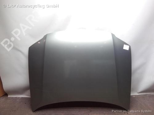 Used Hood VW GOLF III (1H1) 1.4 (60 hp) 20562972