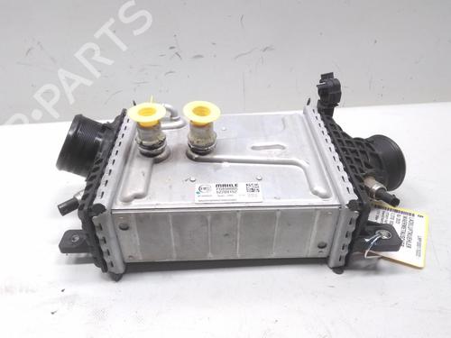 Intercooler FIAT DUCATO Van (250_) 140 Multijet 2,2 D | BP20596196M30 