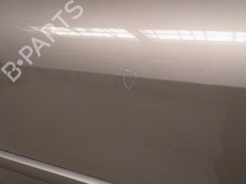 Right front door RENAULT GRAND SCÉNIC II (JM0/1_) 1.5 dCi | BP20590622C3 