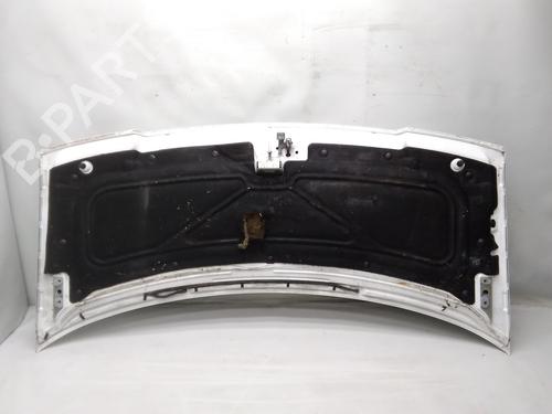 Hood CITROËN JUMPY I (U6U_) 1.9 D 70 | BP20522687C1 