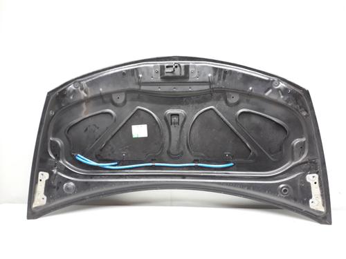 Hood RENAULT CLIO III (BR0/1, CR0/1)  | BP20522772C1 