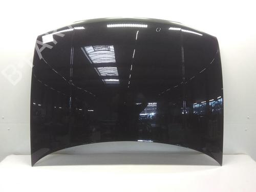 Used Hood VW GOLF IV (1J1) 1.4 16V (75 hp) 20522654