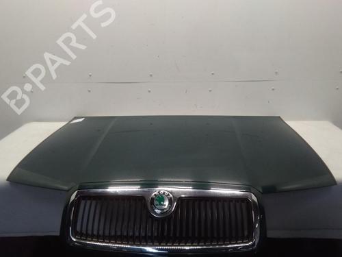 Hood SKODA FABIA I (6Y2) 1.2 | BP20594336C1 