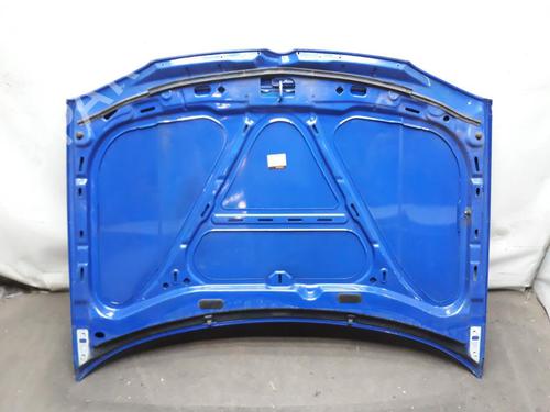 Hood VW GOLF IV (1J1) 1.6 | BP20562955C1 