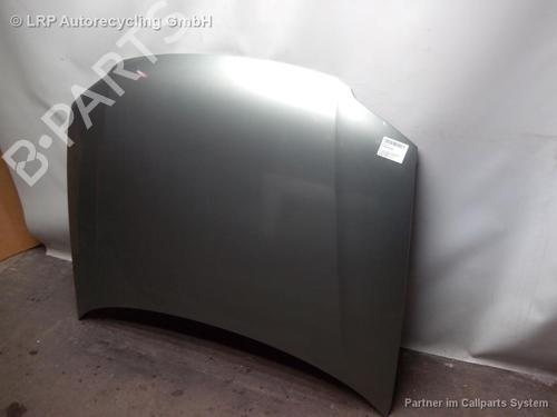Hood VW GOLF III (1H1) 1.4 | BP20562972C1