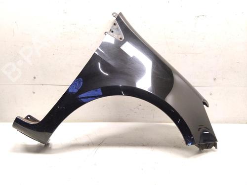 Used Right front fenders RENAULT CLIO III (BR0/1, CR0/1) 1.2 16V (BR0R, BR1D, BR1L, CR0R) (65 hp) 30088239