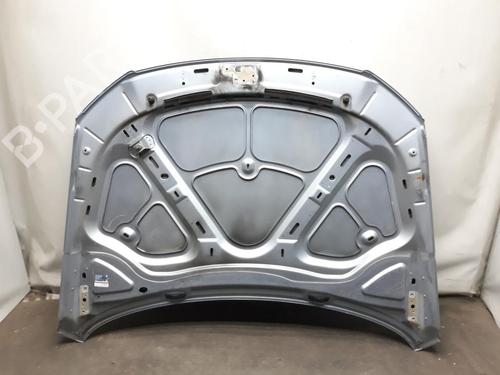 Hood VW PASSAT B6 (3C2) 2.0 TDI 16V | BP20562906C1 