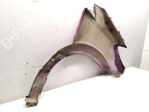 Left front fenders MERCEDES-BENZ SPRINTER 3-t Platform/Chassis (B906) 213 CDI (906.111, 906.113, 906.211, 906.213) | BP29839022C41 