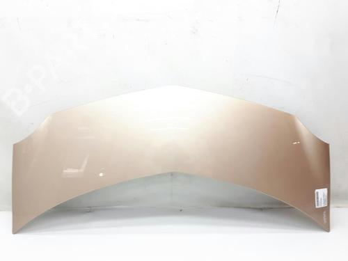 Motorhjelm RENAULT MODUS / GRAND MODUS (F/JP0_) 1.2 (JP0C, JP0K, FP0C, FP0K, FP0P, JP0P, JP0T) (75 hp) 20562644