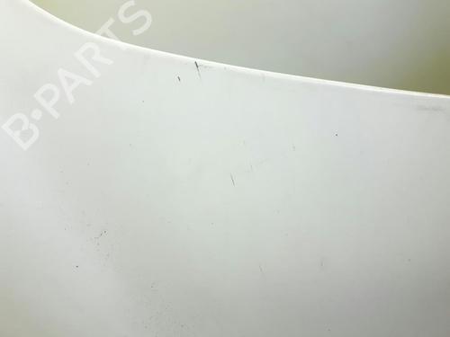 Hood FIAT DOBLO Box Body/MPV (223_) 1.3 JTD 16V | BP20563088C1 
