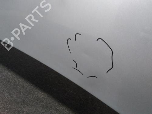 Hood CHEVROLET AVEO / KALOS Hatchback (T250, T255) 1.2 | BP20522594C1 