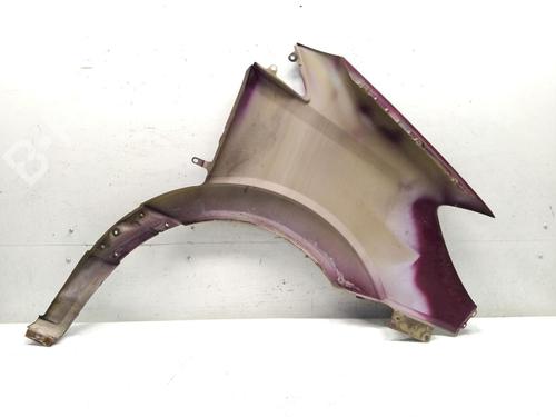 Left front fenders MERCEDES-BENZ SPRINTER 3-t Platform/Chassis (B906) 213 CDI (906.111, 906.113, 906.211, 906.213) | BP29839022C41 