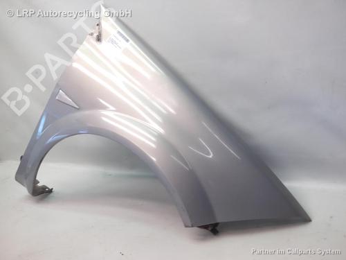 Used Right front fenders RENAULT MEGANE II (BM0/1_, CM0/1_) 1.9 dCi (115 hp) 20558011