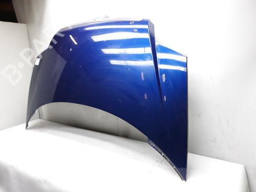 Hood LANCIA PHEDRA (179_) 2.0 D Multijet (179.AXL1B, 179.BXL1B) | BP20563019C1 