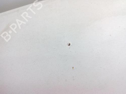 Hood OPEL MOVANO A Van (X70) 1.9 DTI (FD) | BP20562891C1 