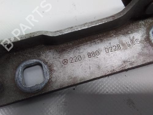 Hinge/Door check strap MERCEDES-BENZ S-CLASS (W220) S 320 (220.065, 220.165) | BP20522840C146 