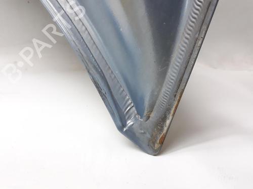 Hood RENAULT SCÉNIC II (JM0/1_) 1.9 dCi (JM0G, JM12, JM1G, JM2C) | BP20562908C1 