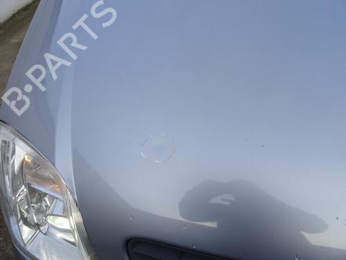 Hood OPEL MERIVA A MPV (X03) 1.7 CDTI (E75) | BP20522622C1 