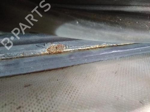 Left rear door BMW 3 (E46) 320 d | BP20517870C4 