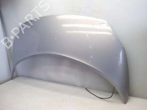 Hood RENAULT SCÉNIC II (JM0/1_) 1.9 dCi (JM0G, JM12, JM1G, JM2C) | BP20562890C1 