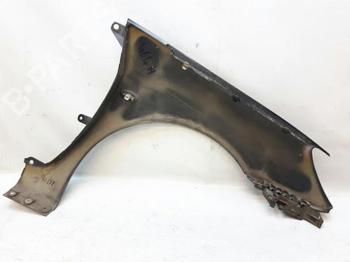 Left front fenders PEUGEOT 307 (3A/C) 1.6 16V | BP20557705C41 