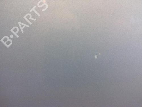 Hood RENAULT SCÉNIC II (JM0/1_) 1.9 dCi (JM0G, JM12, JM1G, JM2C) | BP20562890C1 