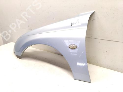Left front fenders PEUGEOT 206 CC (2D) 1.6 16V (2DNFUF, 2DNFUR) | BP27286388C41 