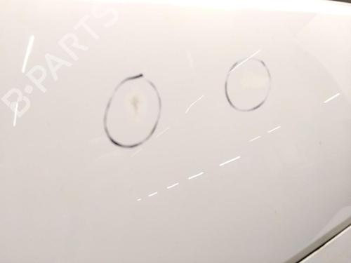 Right front door SMART FORTWO Coupe (451) 1.0 (451.330, 451.334) | BP31345493C3 