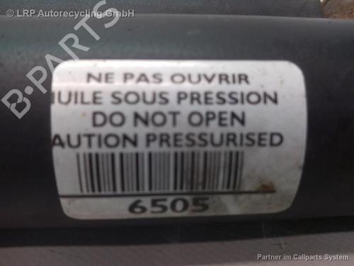 Højre bagtil støddæmper PEUGEOT 207 (WA_, WC_) 1.4 16V (95 hp) 20567444