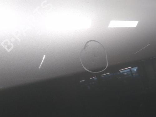 Left front door PEUGEOT 307 CC (3B) 2.0 16V | BP20590437C2 