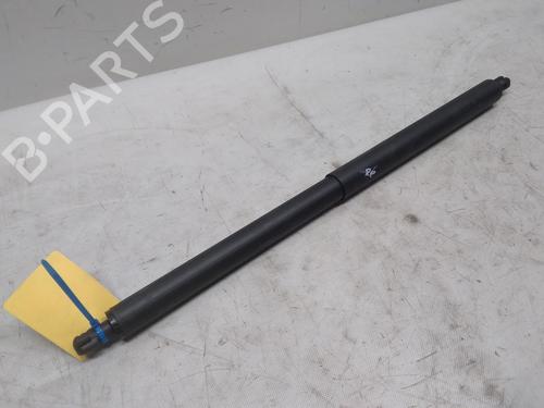 Used Tailgate lift support TESLA MODEL Y (5YJY) EV (347 hp) 22770751
