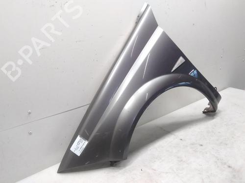 Left front fenders RENAULT MEGANE II Coupé-Cabriolet (EM0/1_) 2.0 | BP20595370C41 