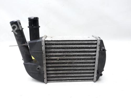 Intercooler FIAT PANDA Hatchback Van (169_) 1.3 D Multijet 4x4 | BP20559118M30 