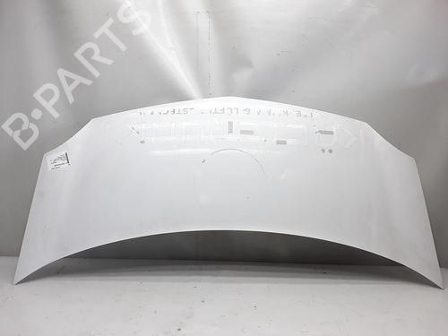 hood-renault-kangoo-express-fw01_-2008-39965455 main image