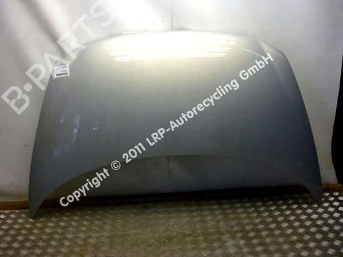 Used Hood FIAT MULTIPLA (186_) 1.6 100 16V (186AXA1A) (103 hp) 20562798