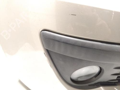 Front bumper RENAULT CLIO III (BR0/1, CR0/1) 1.2 16V (BR02, BR0J, BR11, CR02, CR0J, CR11) | BP30738316C7 