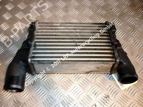 Used Intercooler VW PASSAT B5 Variant (3B5) 1.9 TDI (110 hp) 20559133