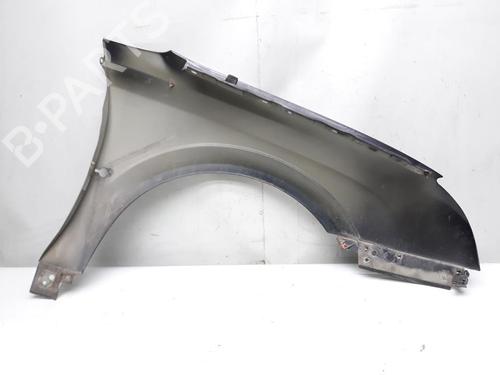 Left front fenders OPEL SIGNUM Hatchback (Z03) 1.9 CDTI (F48) | BP20557757C41 