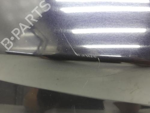 Tailgate RENAULT MEGANE II (BM0/1_, CM0/1_) 1.6 16V (BM0C, CM0C) | BP20550748C6 